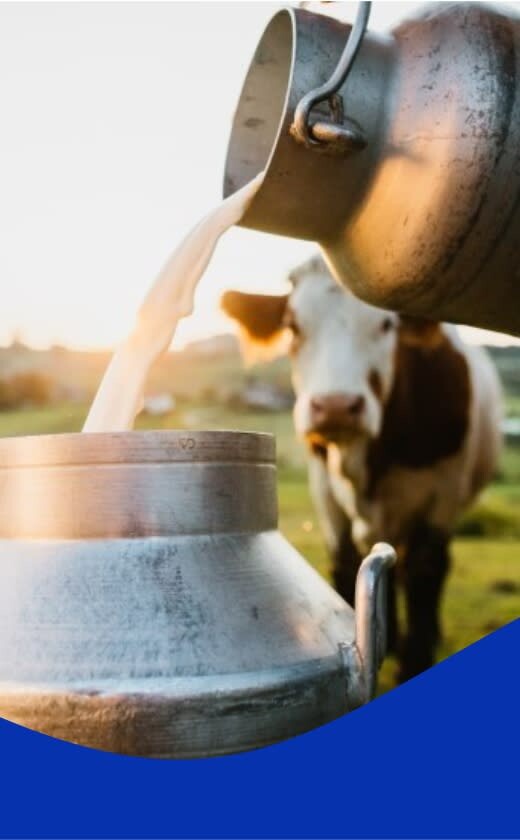 Caprichem Featured products - Dairy Cleaning Products