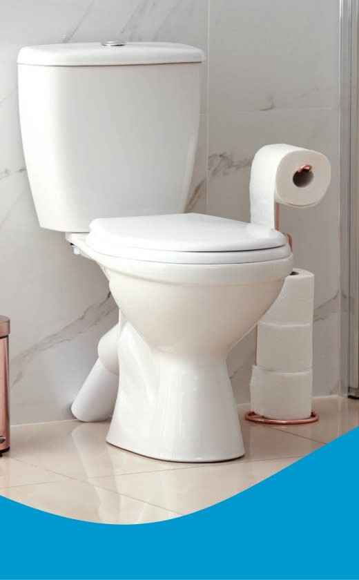 Caprichem Featured products - 10. Retail Toilet Cleaners