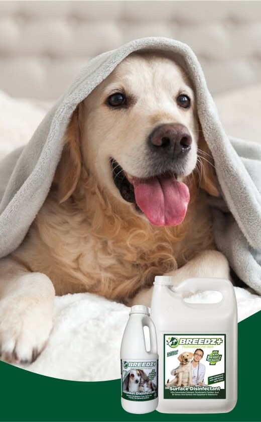 Caprichem Featured products - Disinfectants