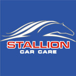 Caprichem Money Savers - Stallion Car Care Kits