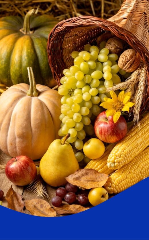 Caprichem Featured products - Fruit & Vegetable Processing Cleaning Products