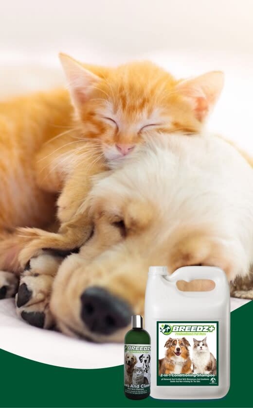 Caprichem Featured products - Adult Dogs & Cats