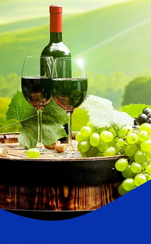 Caprichem Featured products - Wine Cleaning Products