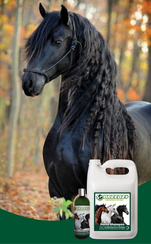 Caprichem Featured products - Horses