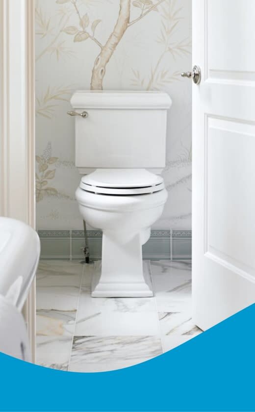 Caprichem Featured products - 11. Toilet Disinfectants