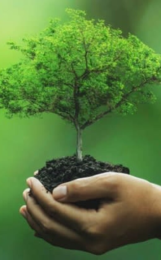 Caprichem featured ranges - 02. Eco-Friendly