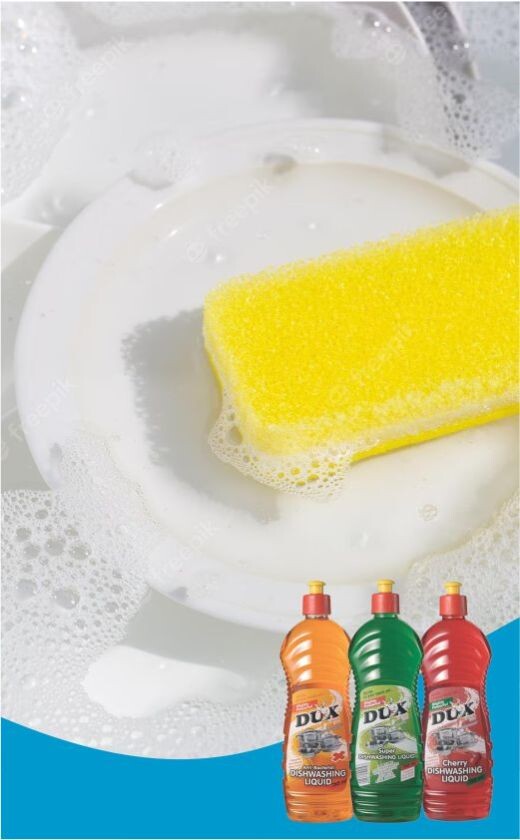 Caprichem Featured products - 05. Retail Dishwashing Liquids