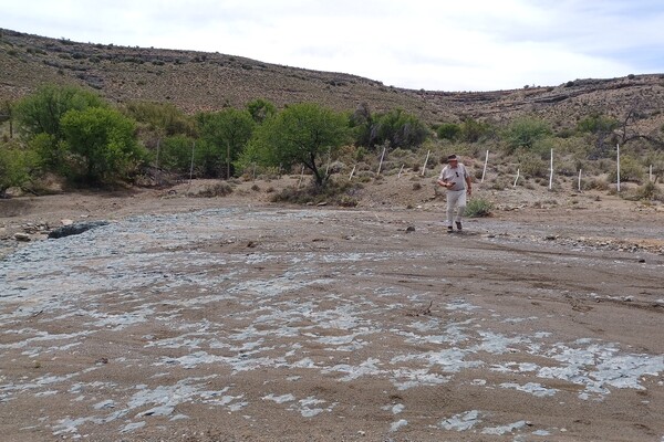 New landing strip, hangar and dam for Karoo Oasis