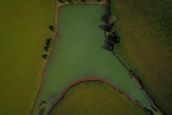 As a farm owner can I clean my dam? What does the law say?