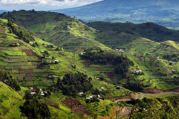 Ebola in Uganda: What every traveller needs to know