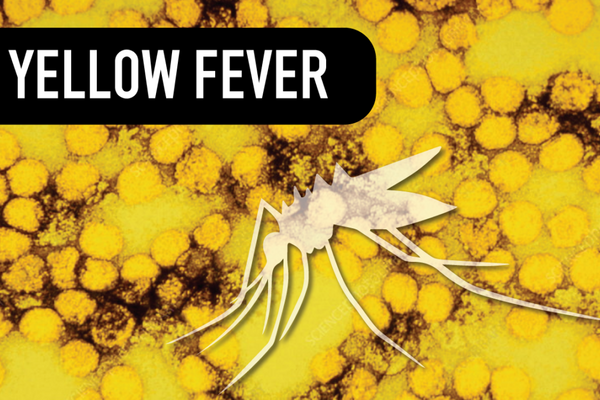Yellow Fever Vaccine Fractional Dosing – A South African Experience