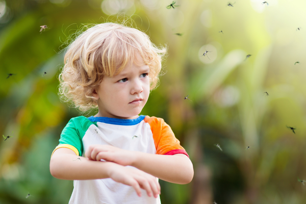 Malaria, Pregnant Women and Children. Recommendations.