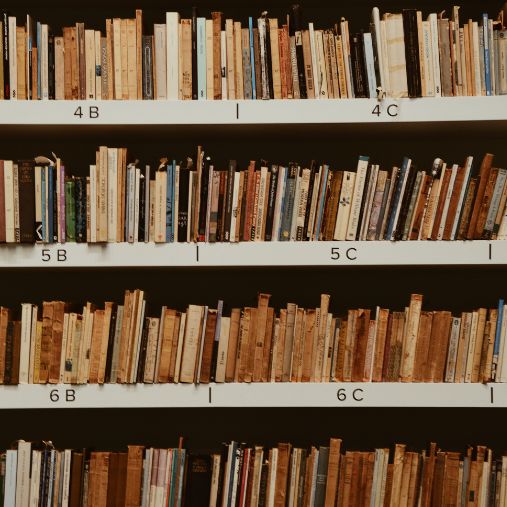 Our Mission - At Bookwish, we are committed to capturing the magic of reading by providing a curated selection of books that are not only entertaining and informative but also inspire creativity and critical thinking.