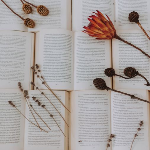 Our Vision - At Bookwish bookstore, we envision a world where knowledge and imagination have no boundaries.