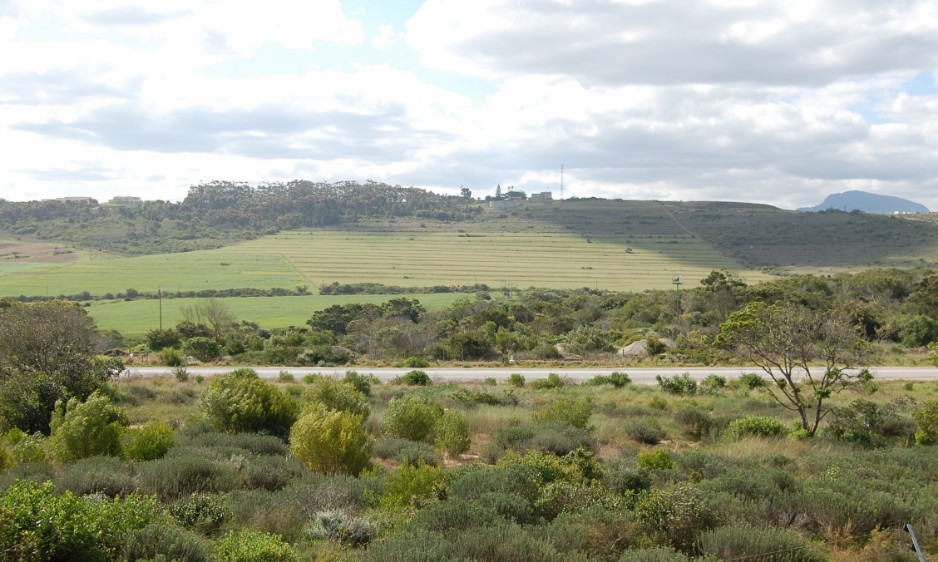 Groenkloof Timeline - July, 2008