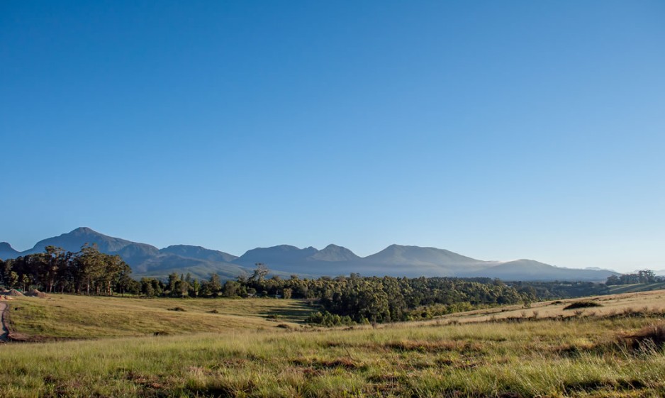 Groenkloof Timeline - July, 2012
