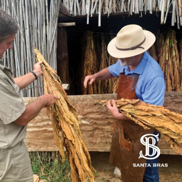 Santa Bras South African cigars gallery