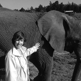Ansa van Niekerk - Physiotherapist
