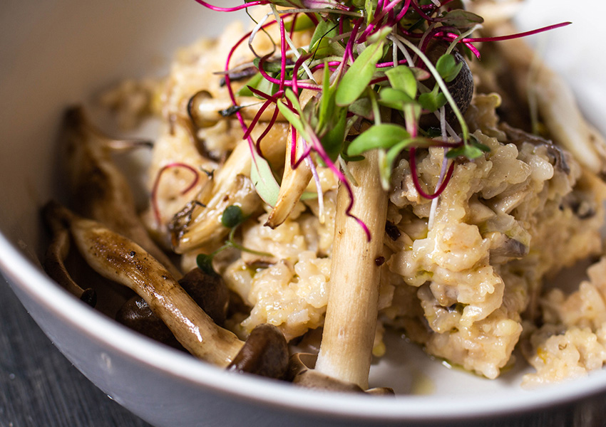 Vince Smith - Private Chef and Restaurant Consultant - Gallery