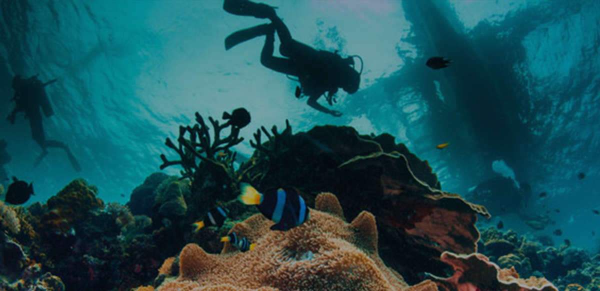 ElectroDive